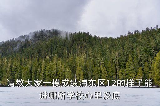 請教大家一模成績浦東區(qū)12的樣子能進(jìn)哪所學(xué)校心里沒底
