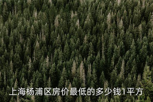 上海市楊浦區軍工路600弄房價，上海理工大學招待所房價多少