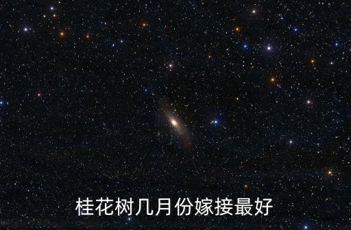 桂花樹幾月份嫁接最好