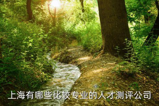 上海有哪些比較專業的人才測評公司