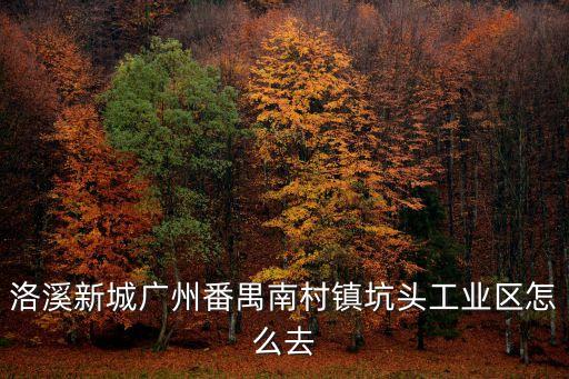 洛溪新城廣州番禺南村鎮(zhèn)坑頭工業(yè)區(qū)怎么去