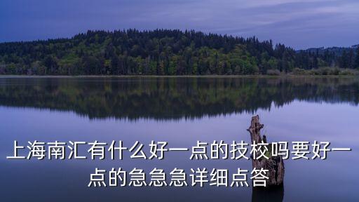 上海南匯有什么好一點的技校嗎要好一點的急急急詳細點答