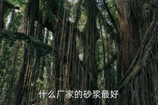 廣州貴州砂漿生產(chǎn)廠家，什么廠家的砂漿最好
