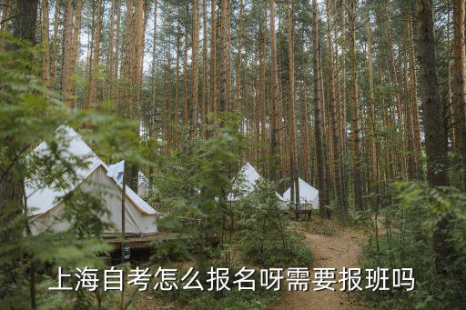 上海市高教自考網(wǎng)上報(bào)考，如何在上海自考網(wǎng)上報(bào)名