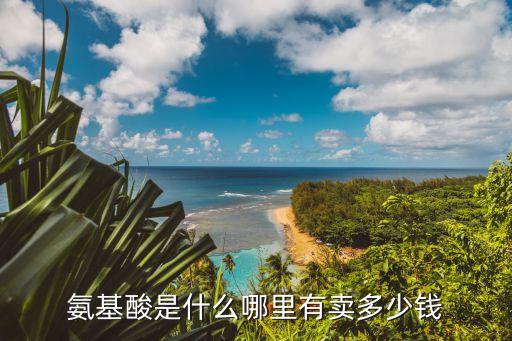 氨基酸是什么哪里有賣多少錢
