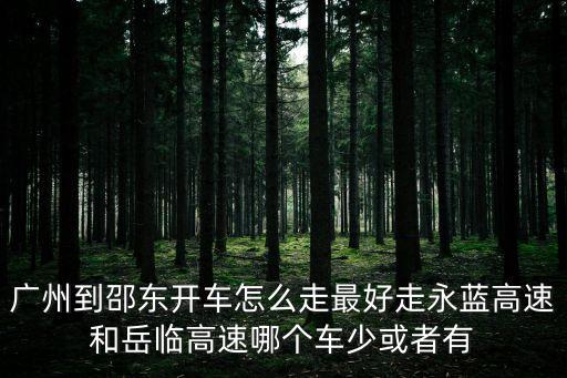 廣州到邵東開車怎么走最好走永藍高速和岳臨高速哪個車少或者有