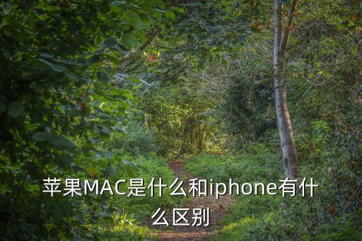 手機mac是什么，手機MAC地址000CE7000000是什么意思