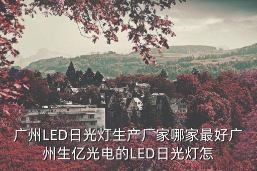 廣州LED日光燈生產(chǎn)廠家哪家最好廣州生億光電的LED日光燈怎