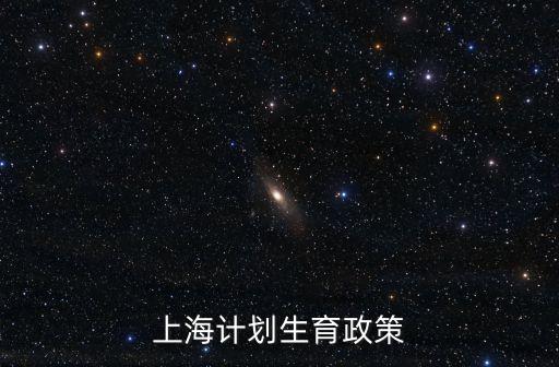 上海計劃生育政策
