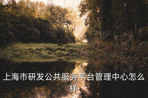上海市研發公共服務平臺管理中心怎么樣