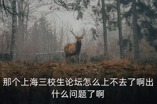 那個(gè)上海三校生論壇怎么上不去了啊出什么問(wèn)題了啊