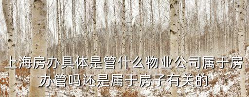 上海房辦具體是管什么物業公司屬于房辦管嗎還是屬于房子有關的