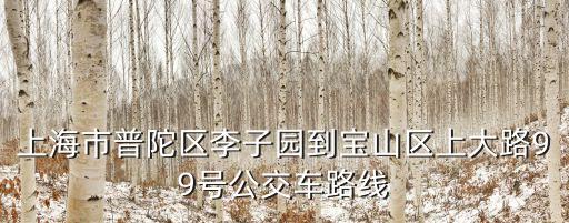 上海市普陀區李子園到寶山區上大路99號公交車路線
