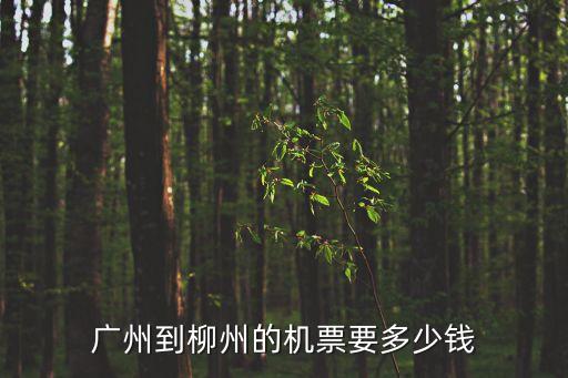 廣州到柳州的機票要多少錢