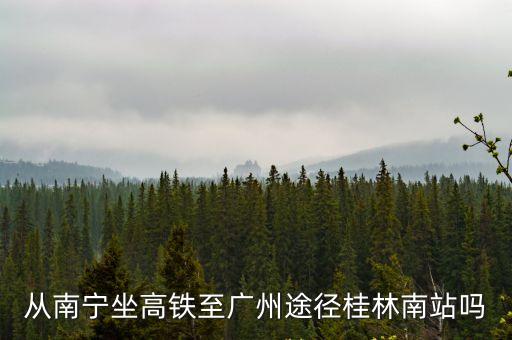 從南寧坐高鐵至廣州途徑桂林南站嗎