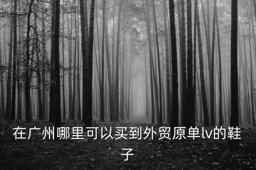 在廣州哪里可以買到外貿(mào)原單lv的鞋子