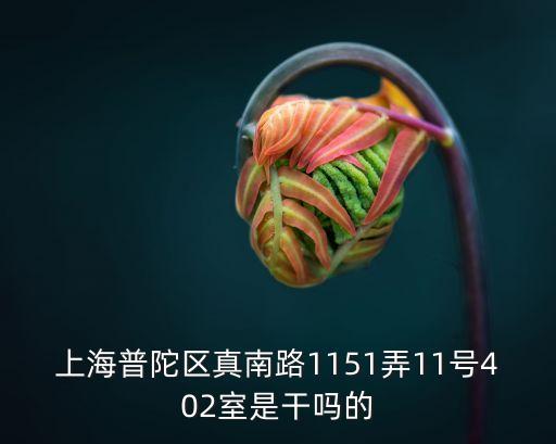 上海普陀區真南路1151弄11號402室是干嗎的