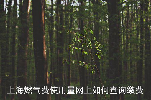 上海燃?xì)赓M(fèi)使用量網(wǎng)上如何查詢繳費(fèi)