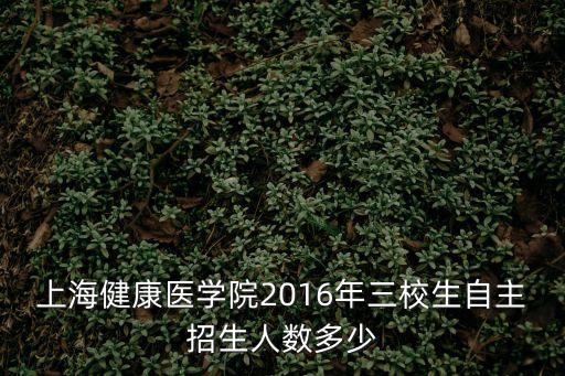 上海健康醫(yī)學(xué)院2016年三校生自主招生人數(shù)多少