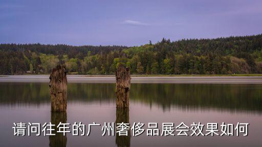 請問往年的廣州奢侈品展會效果如何