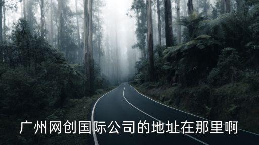 廣州網創國際公司的地址在那里啊