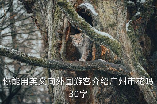 你能用英文向外國游客介紹廣州市花嗎30字