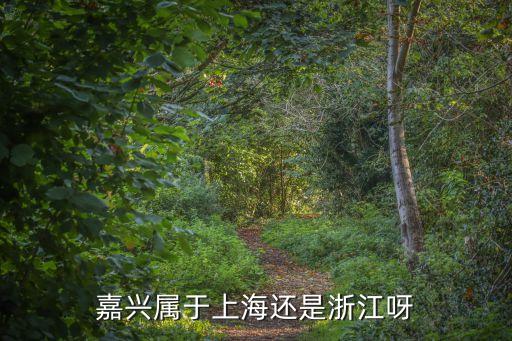 嘉興屬于上海還是浙江呀