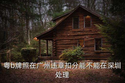 在廣州違章可以在深圳交罰款嗎，廣州市天河區交通違章可以在深圳交嗎