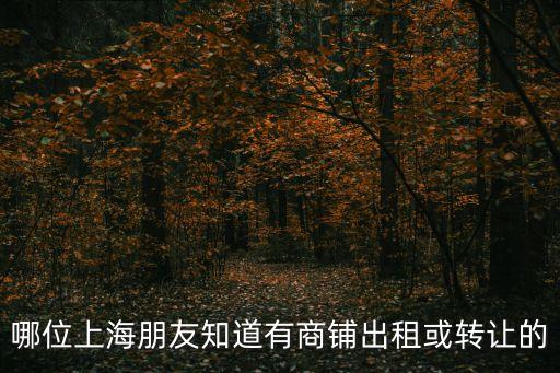 哪位上海朋友知道有商鋪出租或轉讓的