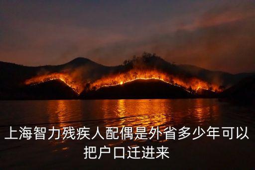 上海市殘疾失智老人，上海智力三級殘廢可以辦理乘車證嗎
