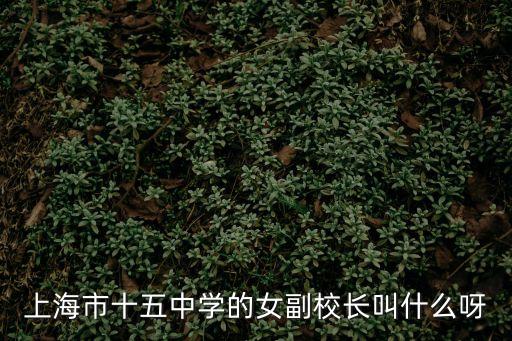 上海市十五中學(xué)的女副校長叫什么呀