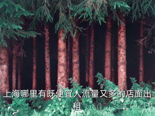 上海哪里有既便宜人流量又多的店面出租