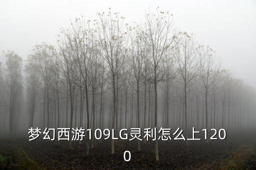 夢幻西游109LG靈利怎么上1200