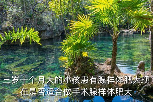 三歲十個月大的小孩患有腺樣體肥大現在是否適合做手術腺樣體肥大