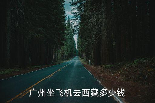 廣州西藏藏文化博物館，廣州坐飛機去西藏多少錢