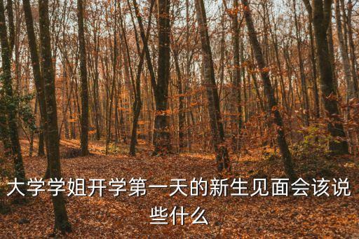 新生見面會，新生見面會說什么比較好