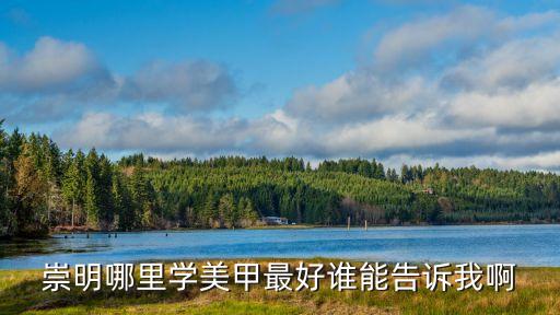 上海市崇明新河美甲，誰知道哦崇明哪里可以學美甲