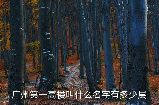 廣州第一高樓叫什么名字有多少層