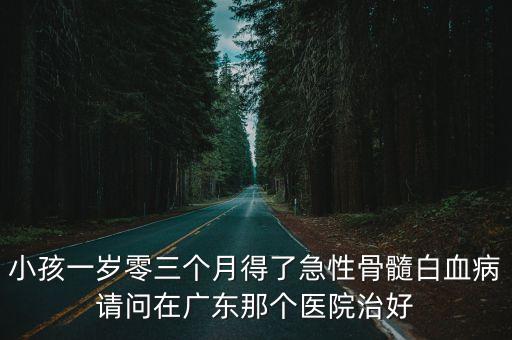 小孩一歲零三個月得了急性骨髓白血病請問在廣東那個醫(yī)院治好