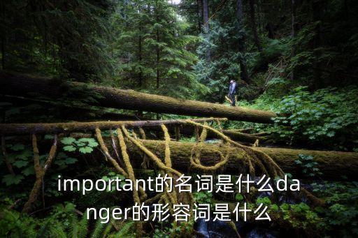important的名詞，important的名詞形式是什么