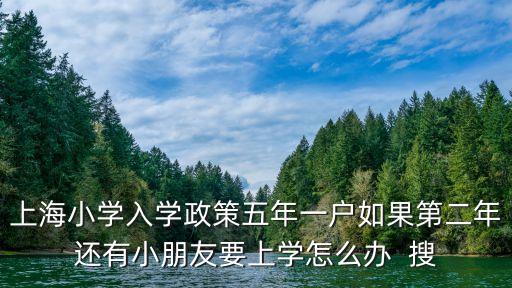 上海小學(xué)入學(xué)政策五年一戶如果第二年還有小朋友要上學(xué)怎么辦  搜