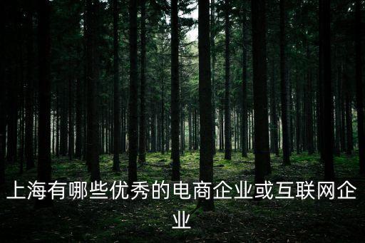 上海市電商公司排行榜，上海有那些網購公司