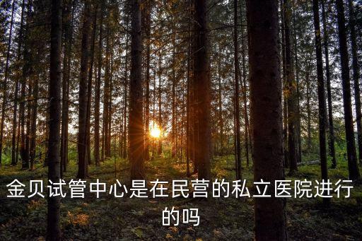廣州金寶貝國際試管醫(yī)療位置，金寶貝官方網(wǎng)址