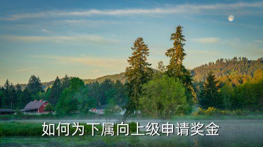 獎勵申請，申請加班獎勵怎樣寫
