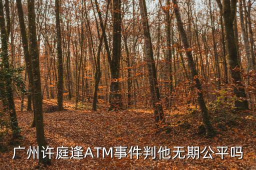 廣州中海達(dá)新聞，廣州許庭逢ATM事件判他無期公平嗎