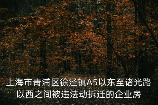 上海市靑浦區徐涇鎮A5以東至諸光路以西之間被違法動拆遷的企業房