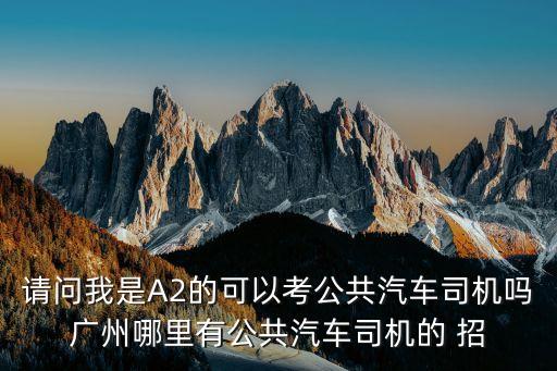 廣州珍寶巴士司機招聘條件，巴士司機的入職條件