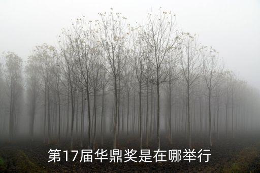 上海市第十七屆挑戰杯，第17屆華鼎獎是在哪舉行