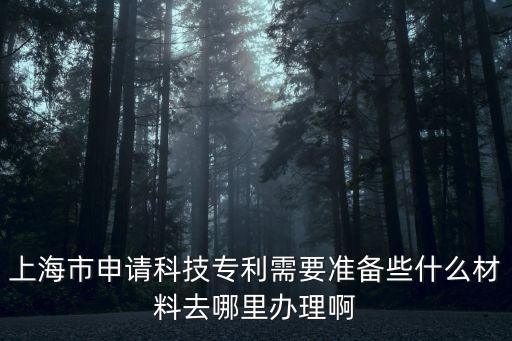 上海市標準化成果申報材料，上海市申請科技專利需要準備些什么材料去哪里辦理啊
