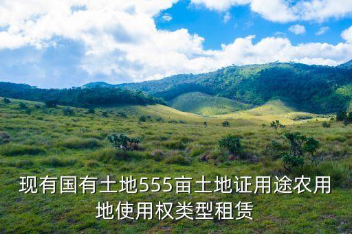 現有國有土地555畝土地證用途農用地使用權類型租賃